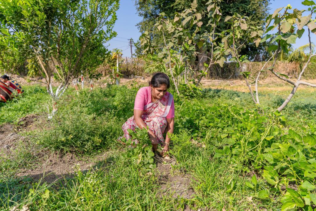 Conventional Farming