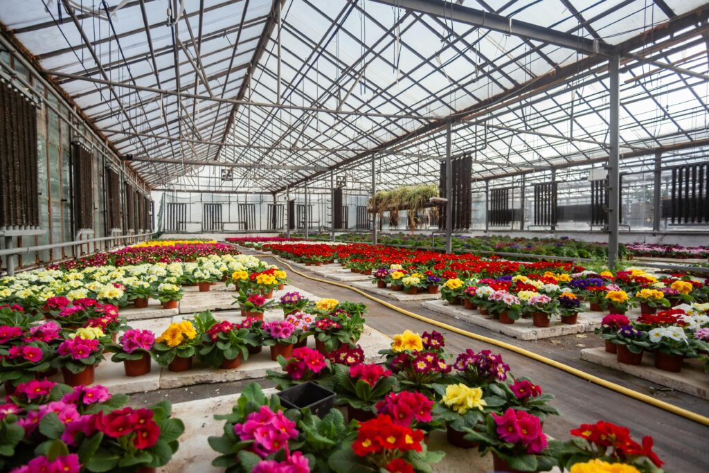 polyhouse farming