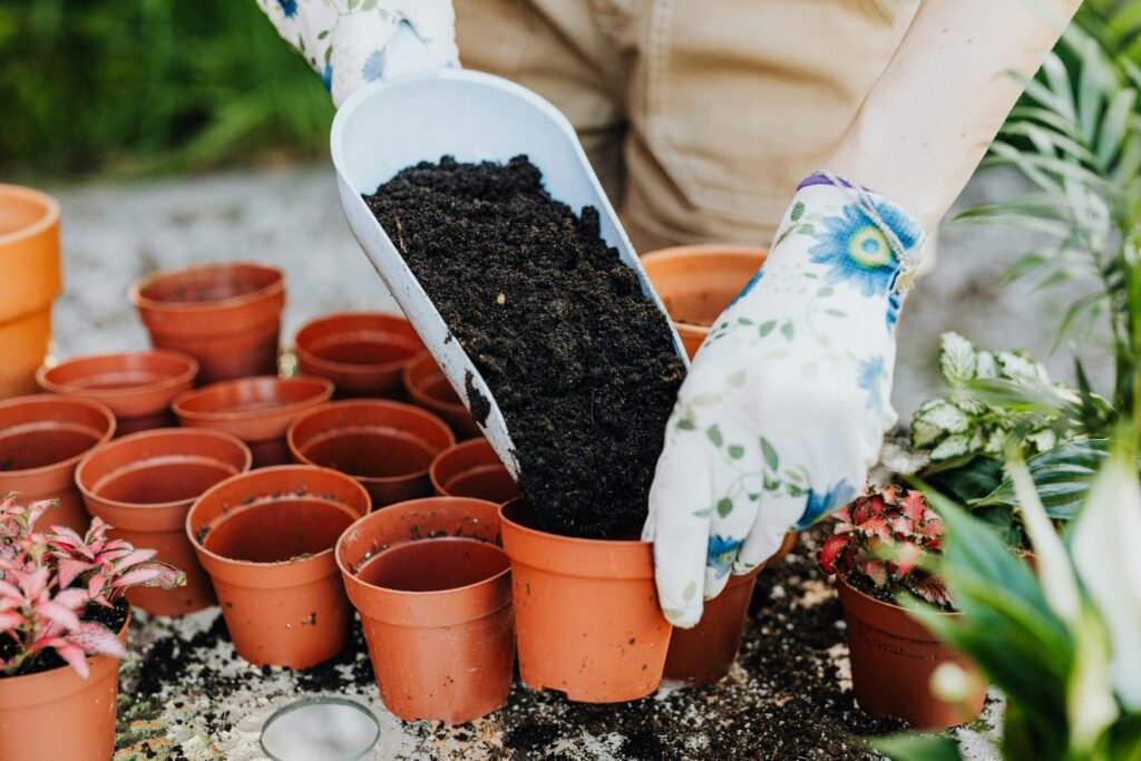 Bio Fertilizer