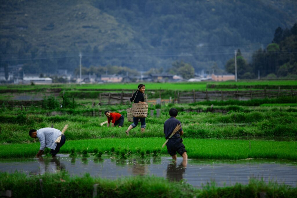modern farming methods