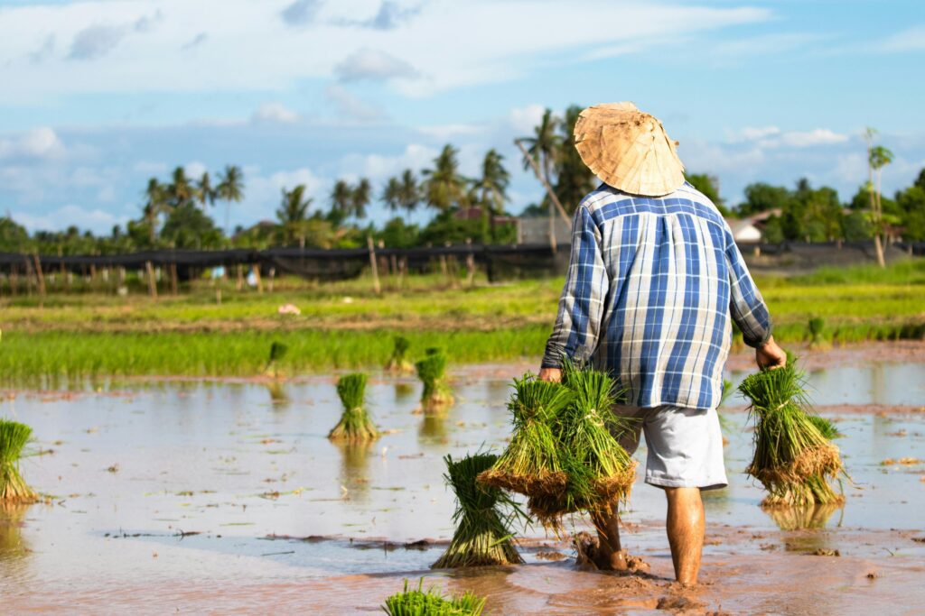modern farming methods
