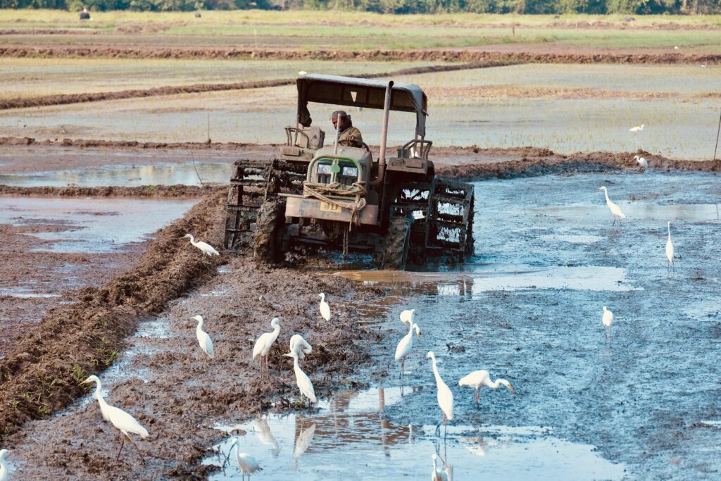 happy seeder