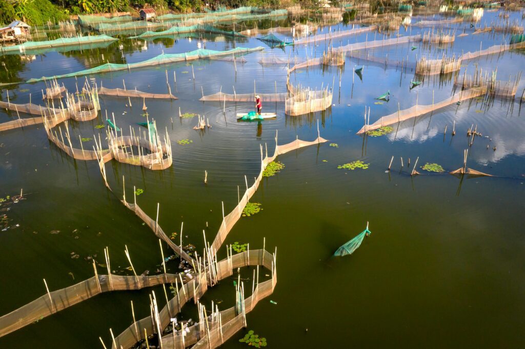 fish farming