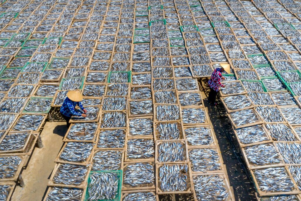 fish farming