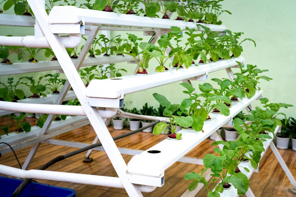 Hydroponic Farming