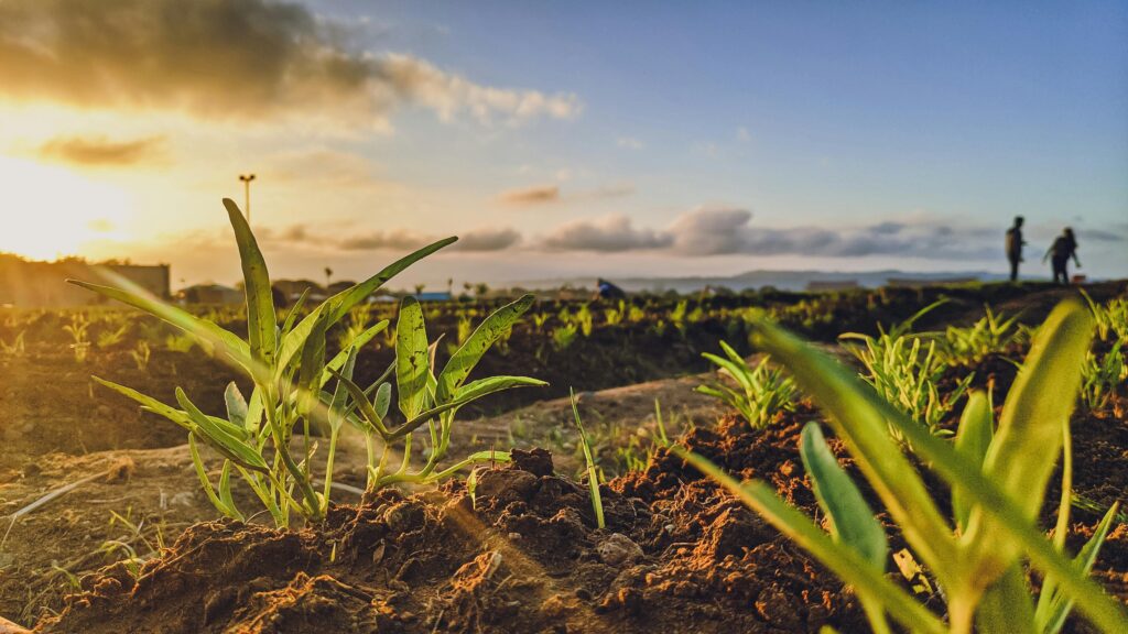 soil moisture sensor
