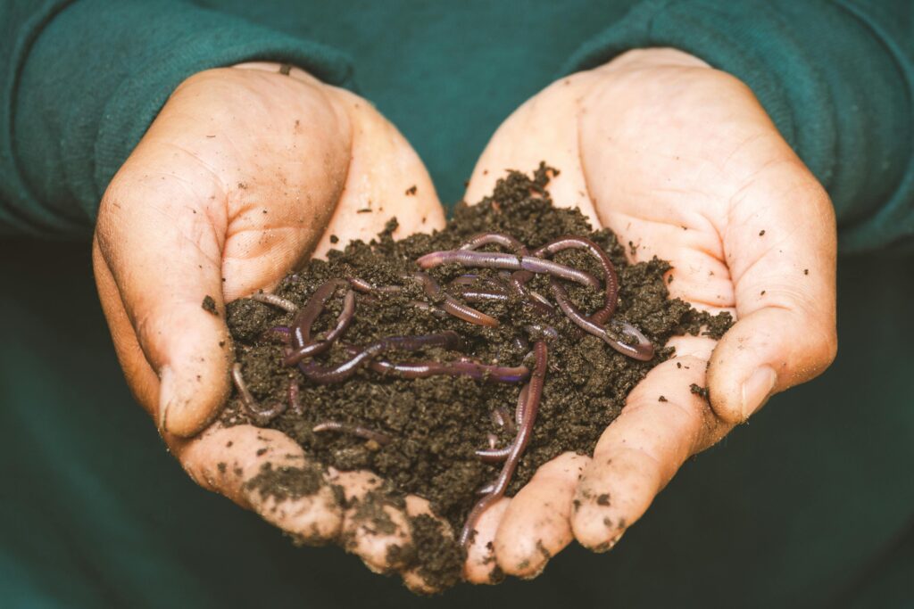 biodynamic farming