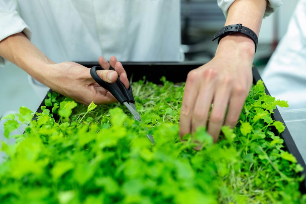 ai in farming
