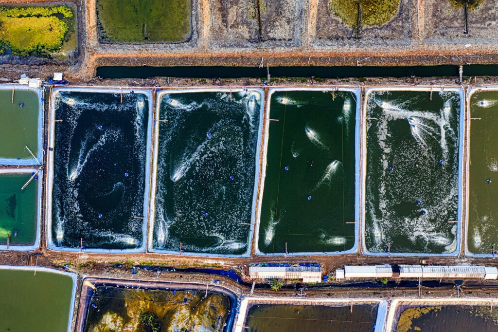 fish farming