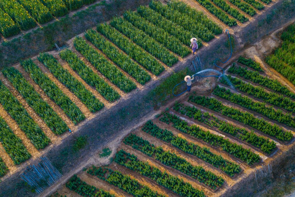 ai in farming