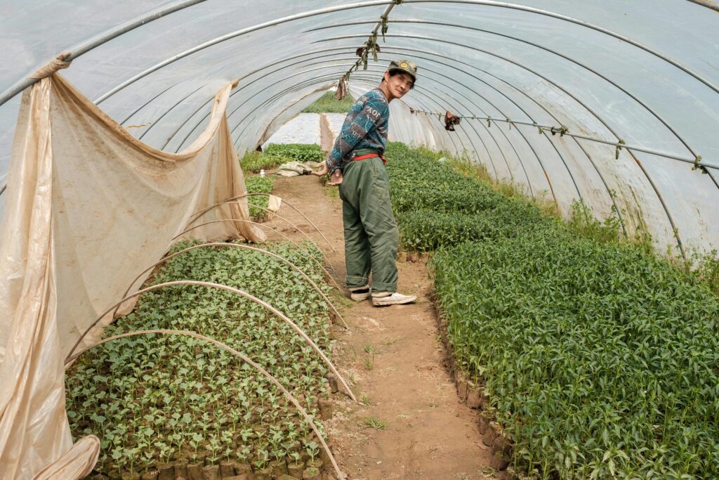 polyhouse farming