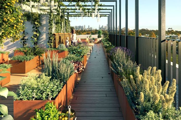 Terrace Farming
