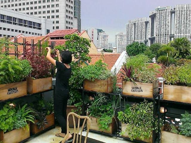Terrace Farming