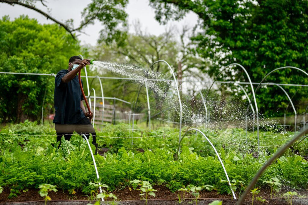 irrigation systems