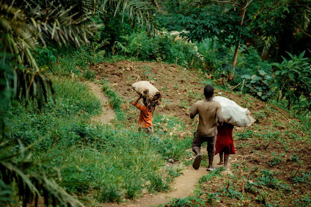 primitive subsistence farming