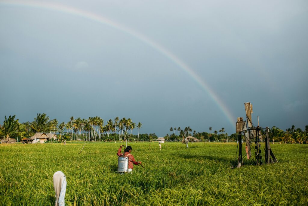 traditional farming