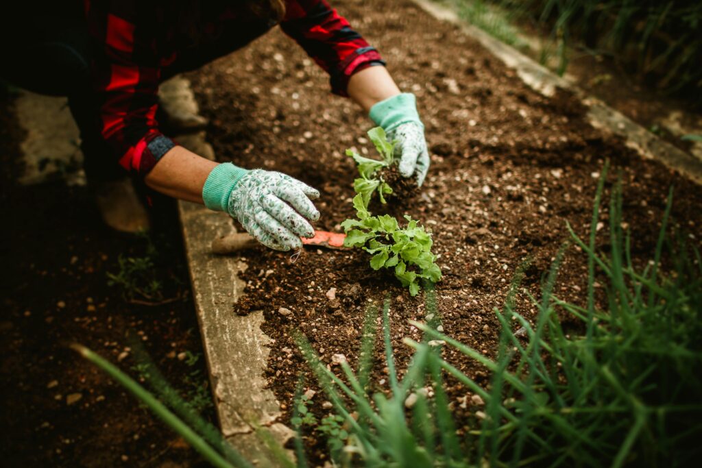 primitive subsistence farming