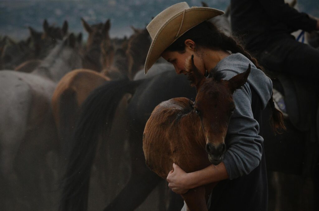 horse breeding