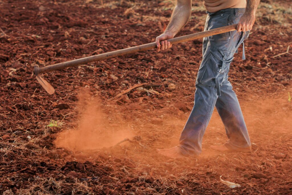 traditional farming