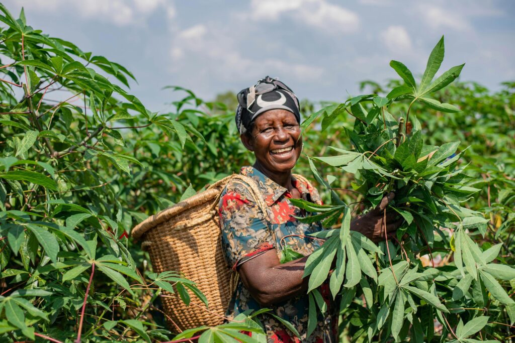 subsistence farming
