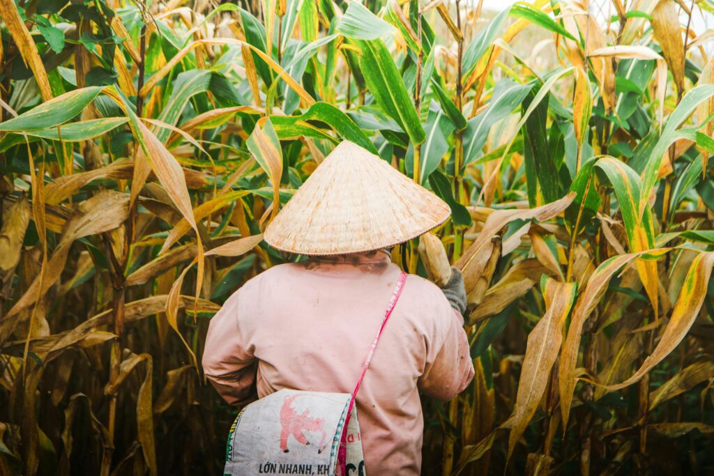 subsistence farming