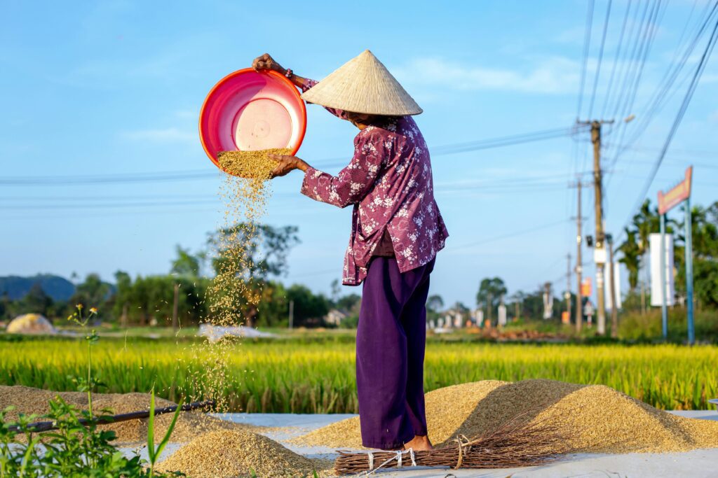 traditional farming