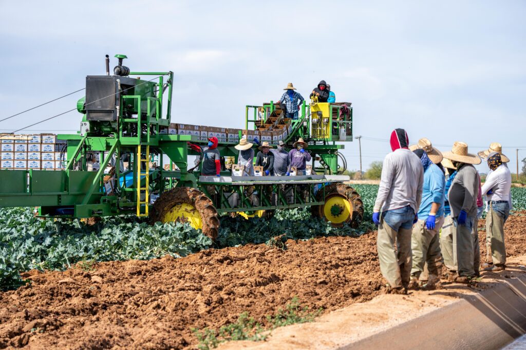   agriculture farming Workers operating agricultural machinery in a field while others observe nearby.