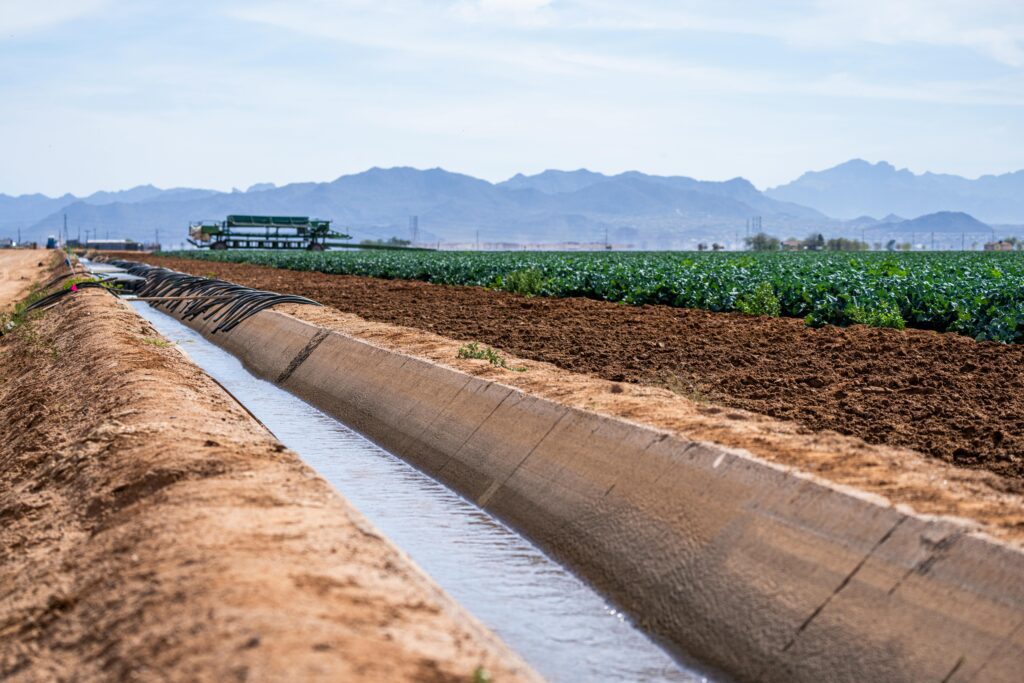 Irrigation farming A drip irrigation pipe running along a raised soil bed in a farm field, with mountains and blue sky in the background."