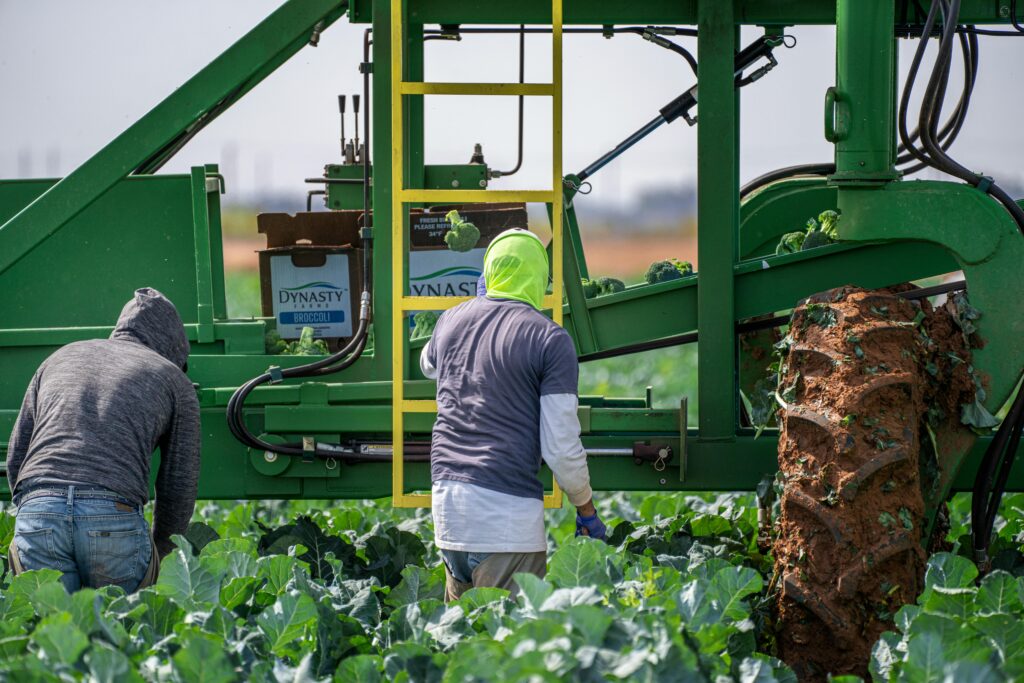  in agriculture farming Worker standing near agricultural machinery with a ladder in a crop field.