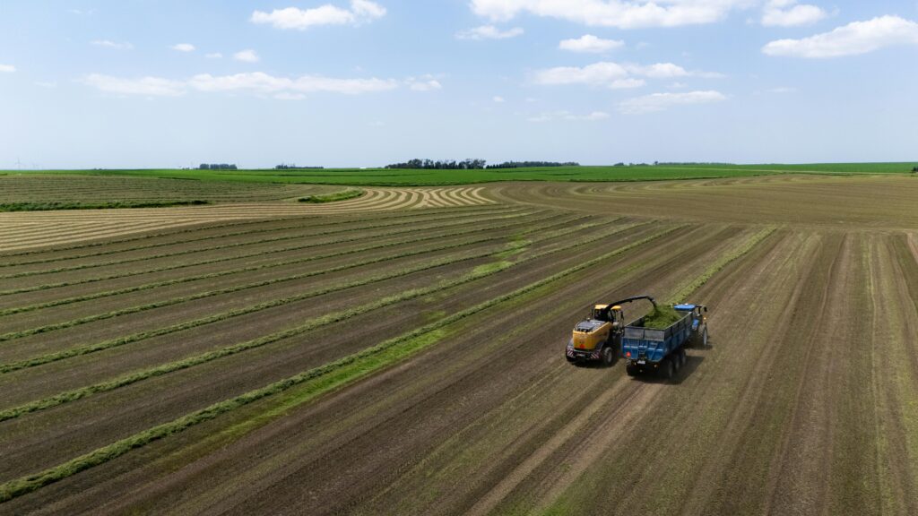 Farm machinery working in large agricultural field for silage crop harvesting