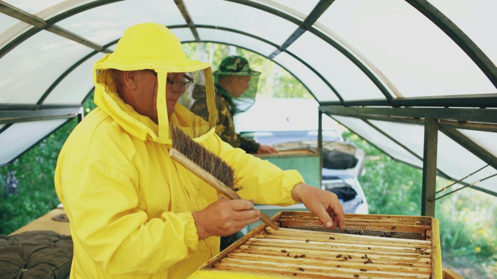  honey bee farm Beekeepers in protective yellow suits inspecting honeycomb frames in a modern honey farm setup