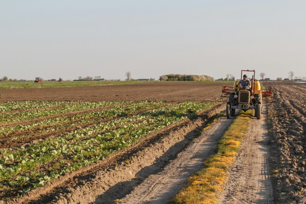 smart farming
Farmers working in crop fields with a tractor on cultivated agricultural land during daytime.
