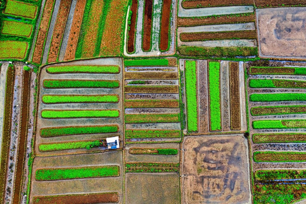 smart farming Aerial view of colorful agricultural fields arranged in rectangular patterns with green and brown crop sections.
