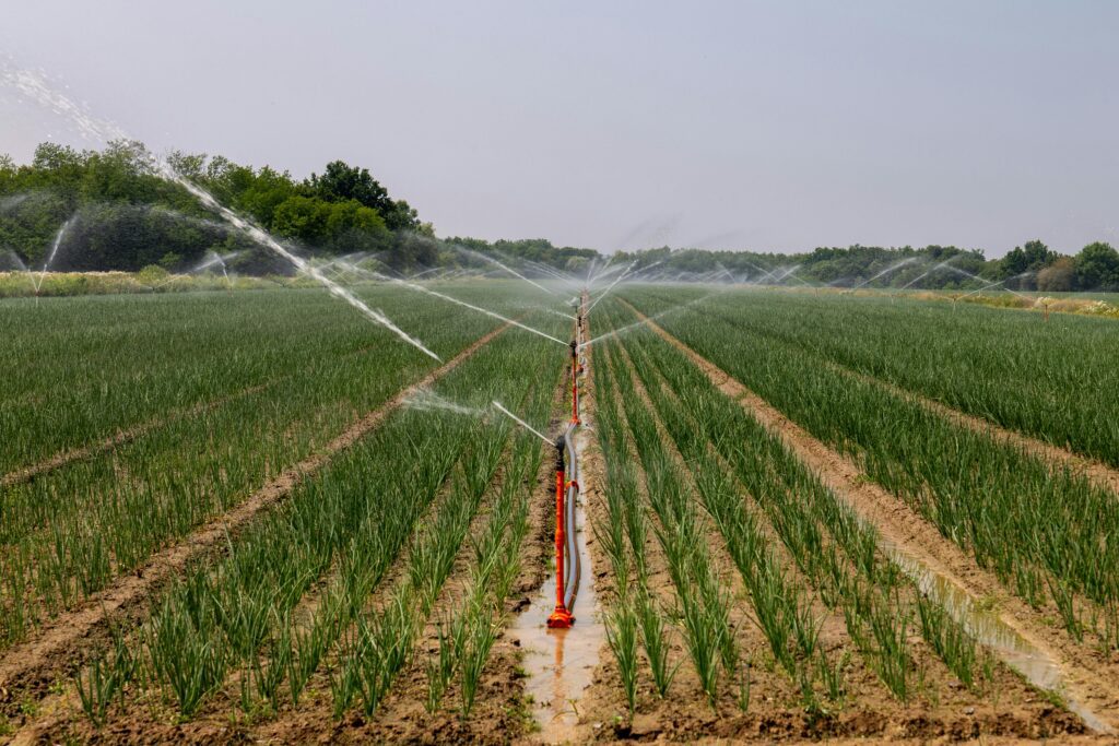 Irrigation farming "Aerial or elevated view of neatly arranged crop rows in a large farm field with sprinkler irrigation system operating in the background under a cloudy sky."