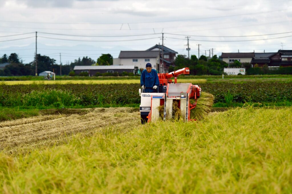 agriculture and farming