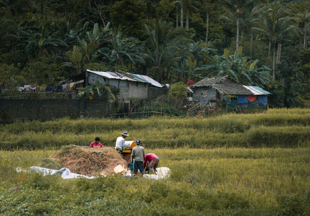 agriculture and farming