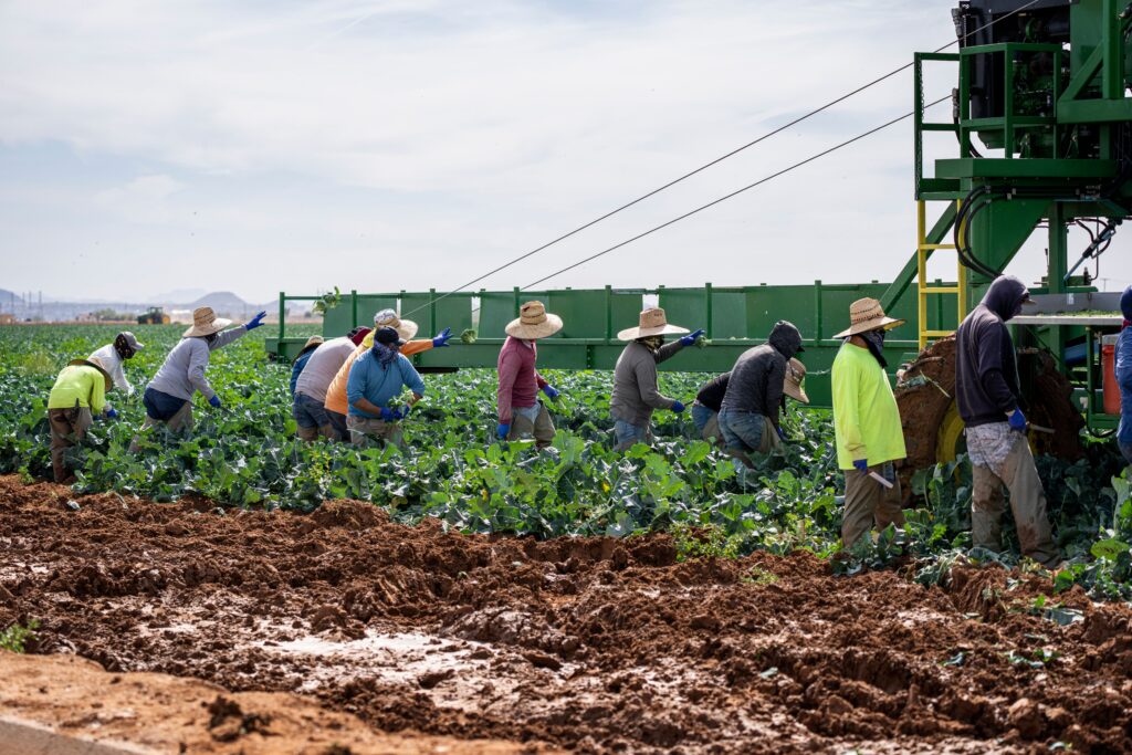 agriculture and farming
