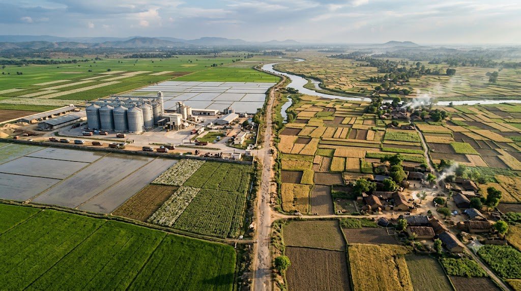 MSP for farmers