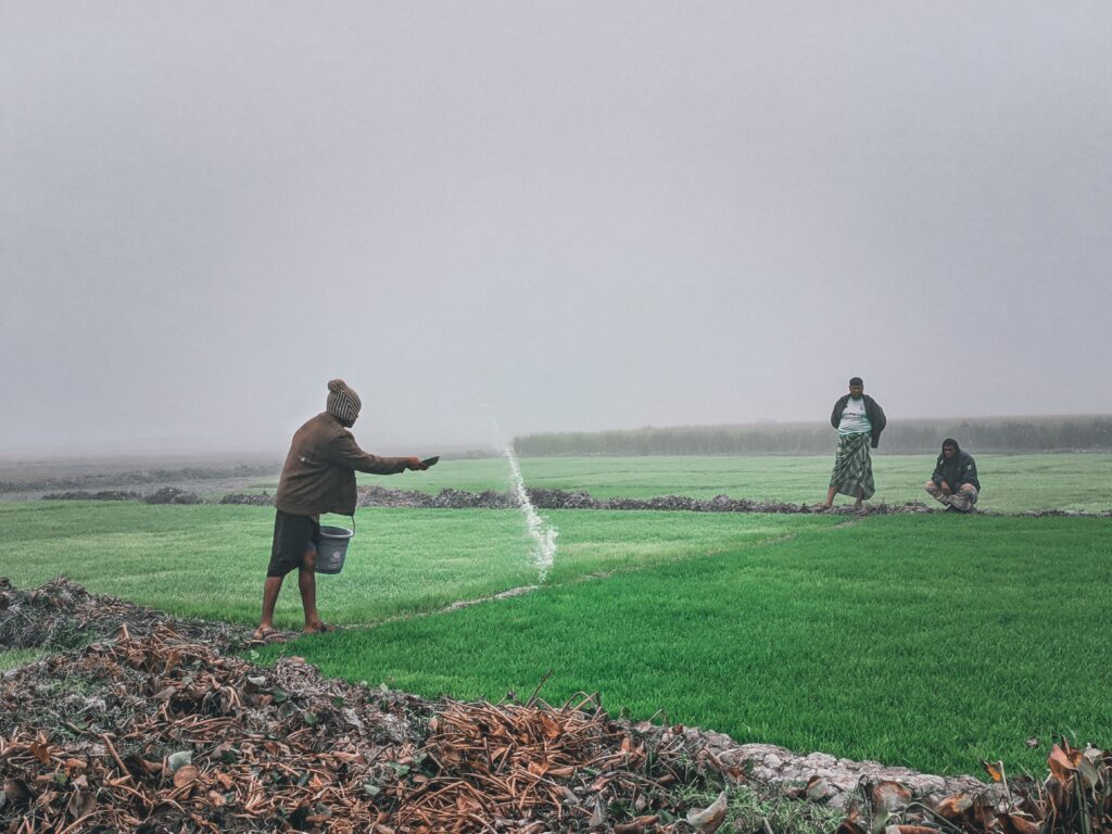 nano fertilizer