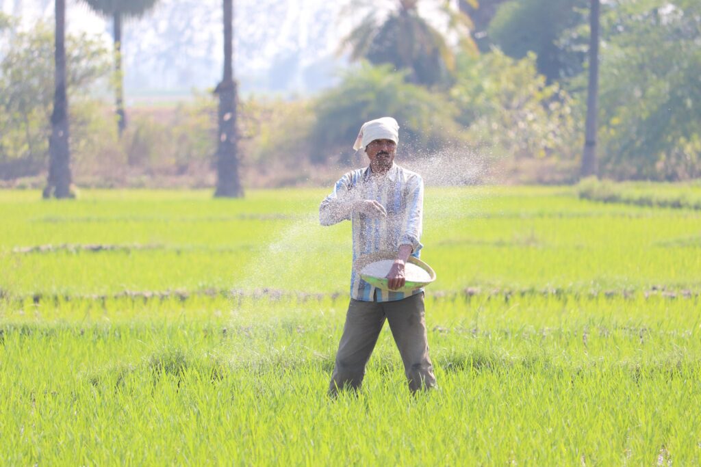 nano fertilizer