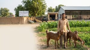 National Livestock Mission